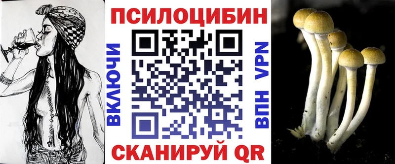 Псилоцибиновые грибы Cubensis  это телеграм  Зарайск  где продают  